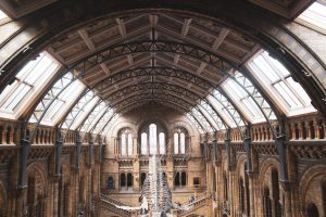 Victoria and Albert Museum in London