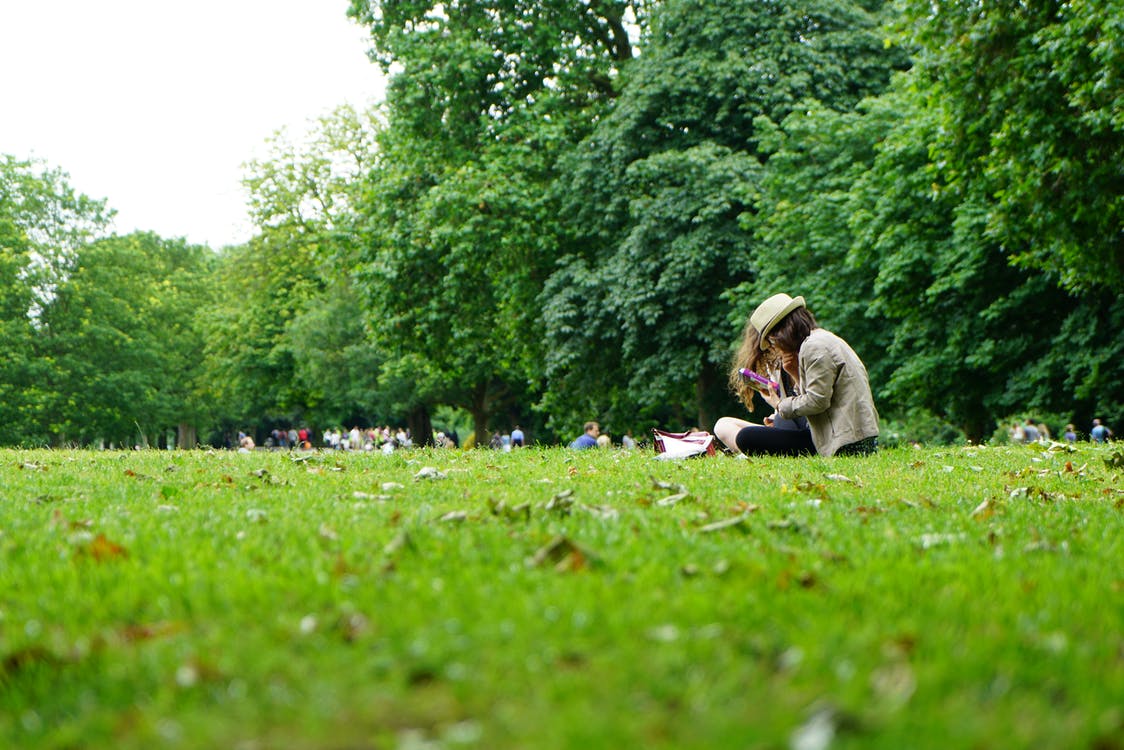 Head To Hyde Park For A Picnic