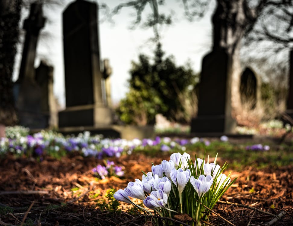 Why Is Karl Marx Buried In HighGate Cemetery