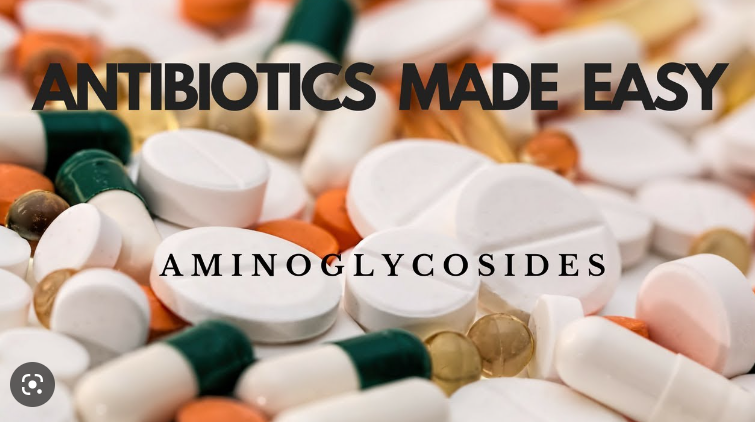 Aminoglycoside antibiotics