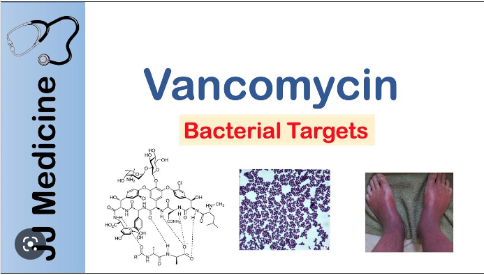 Vancomycin