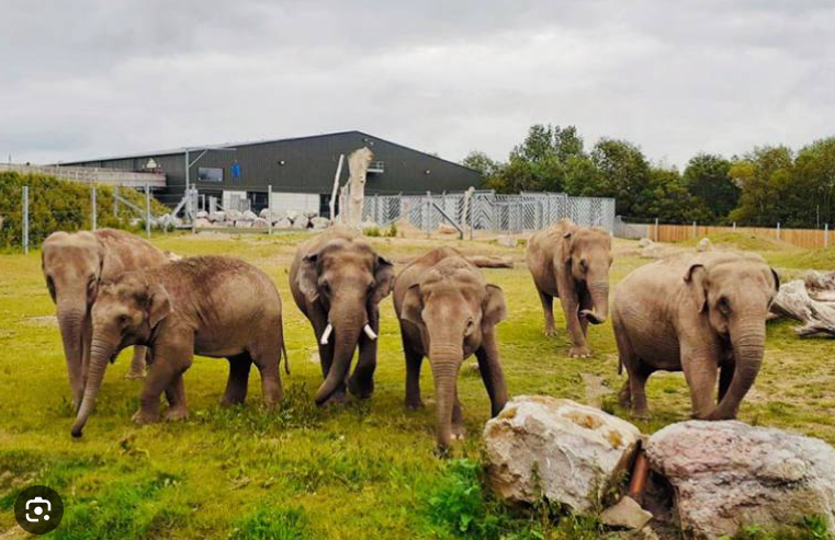 Blackpool Zoo