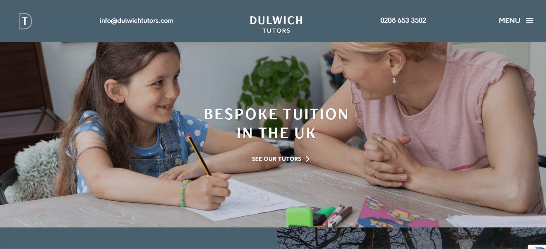 Dulwich Tutors LTD