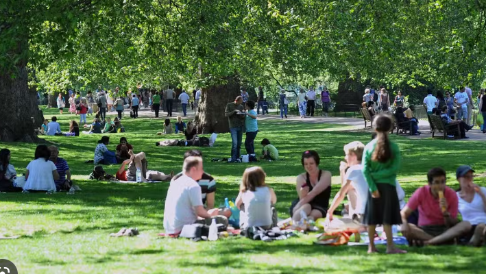 Have a Picnic in the Park