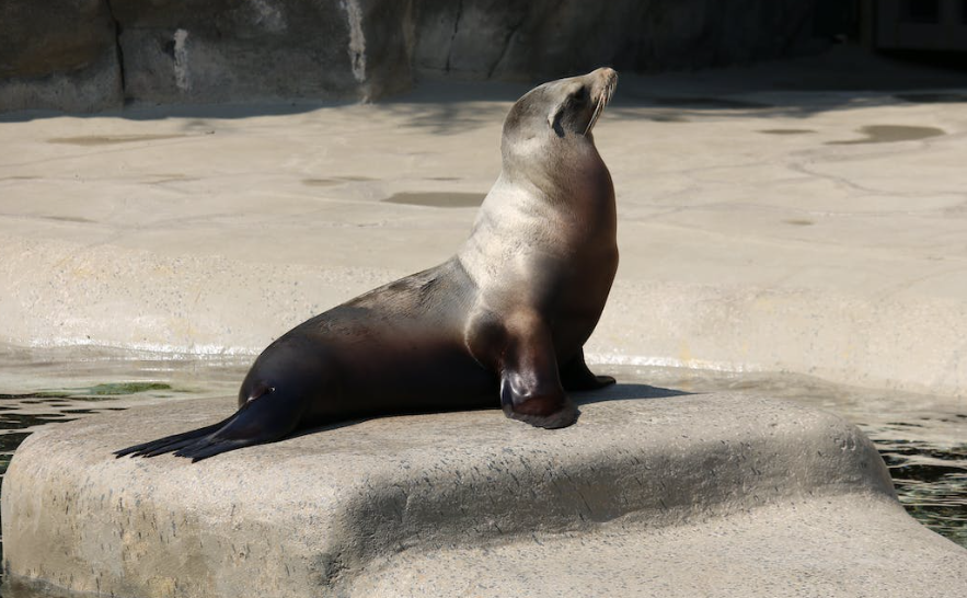 Newquay Zoo