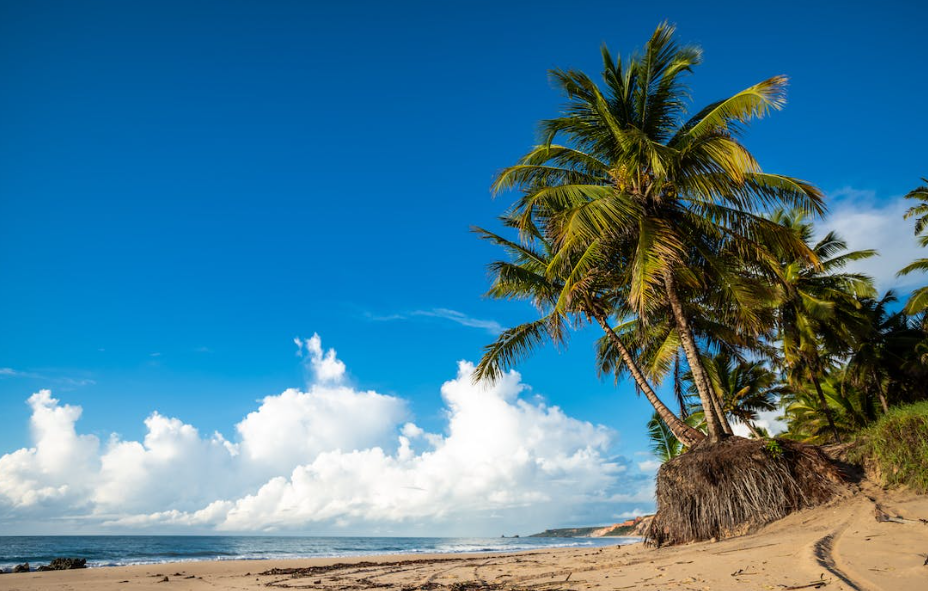 Playa de Cofete