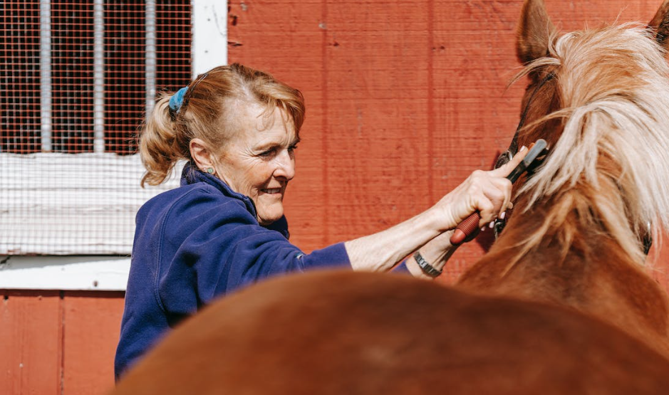 Tally Ho Stables