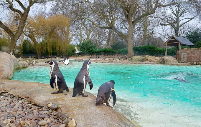 Visit London Zoo