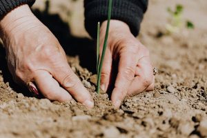 soil-agriculture